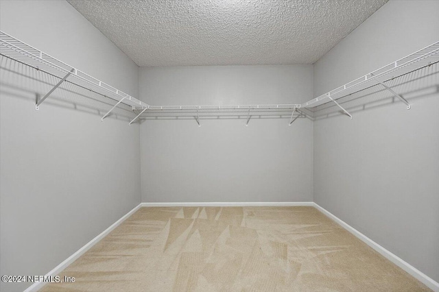 spacious closet featuring carpet flooring