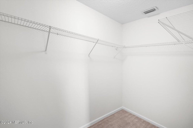 spacious closet featuring carpet