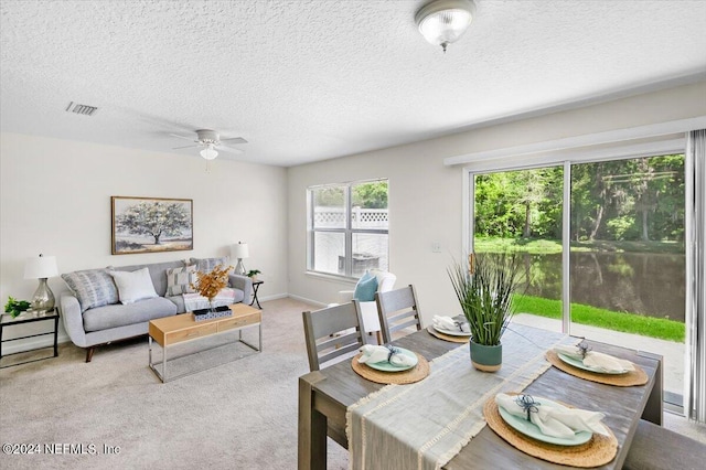 living room with light colored carpet and a textured ceiling