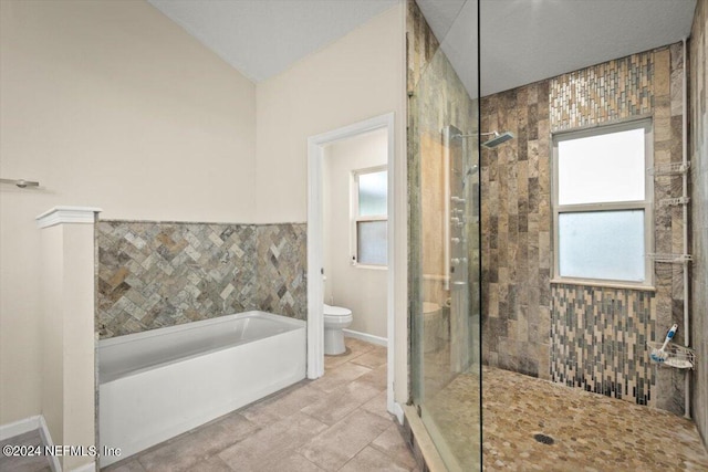 bathroom with toilet and independent shower and bath