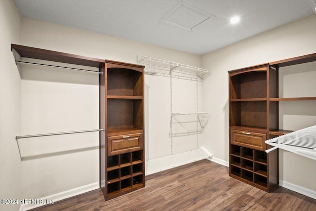 walk in closet featuring dark hardwood / wood-style flooring