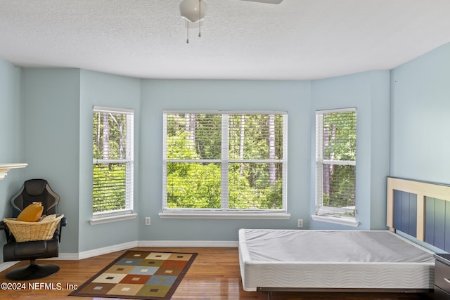 interior space with a wealth of natural light and light hardwood / wood-style flooring