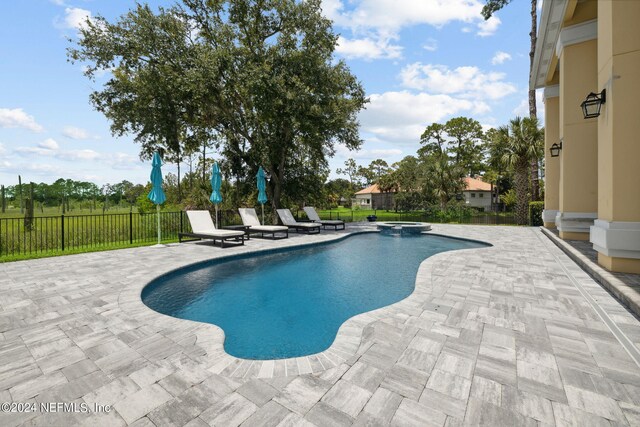 view of pool with a patio