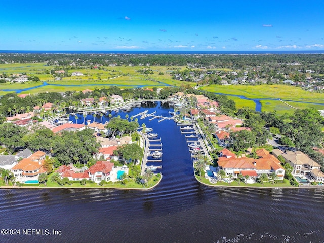 bird's eye view with a water view