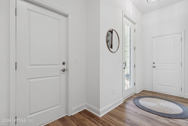 entrance foyer with hardwood / wood-style flooring