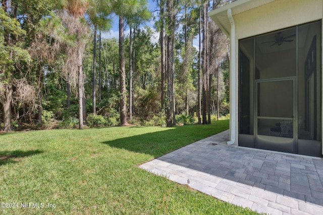 view of yard with a patio area