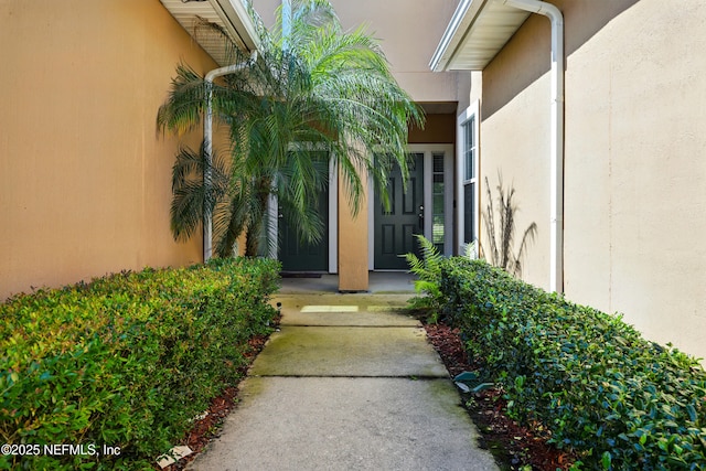 view of exterior entry featuring stucco siding