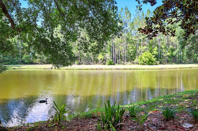 water view