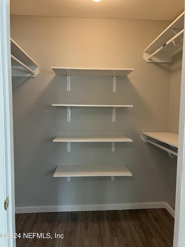 walk in closet featuring dark hardwood / wood-style floors