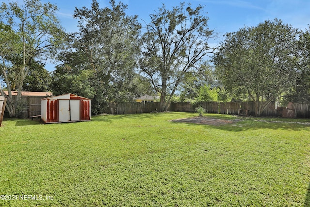 view of yard featuring a storage shed