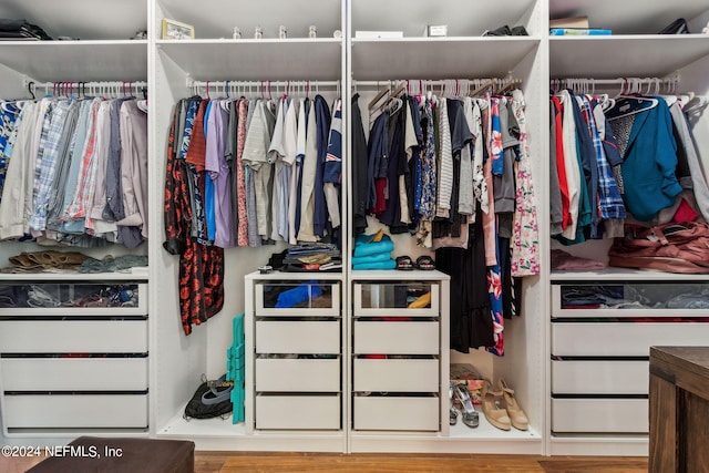 view of spacious closet