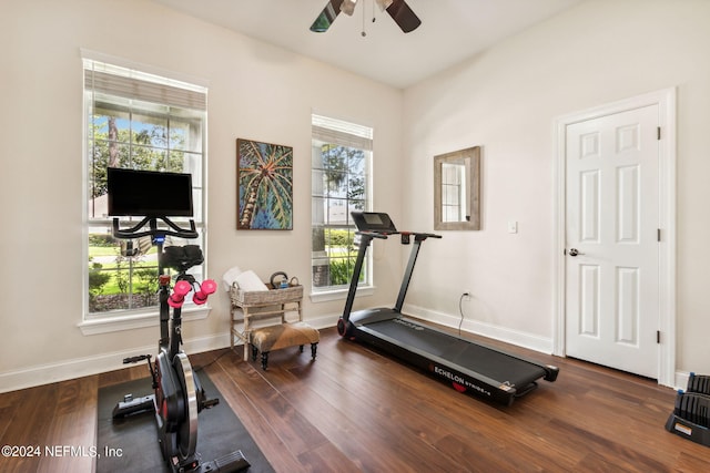 exercise room with ceiling fan, dark wood-type flooring, and a healthy amount of sunlight