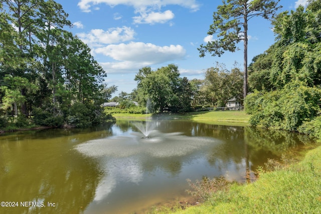 water view