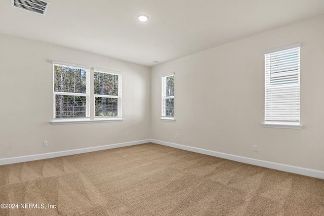 spare room with carpet floors