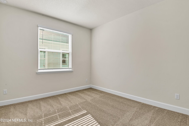 unfurnished room featuring carpet