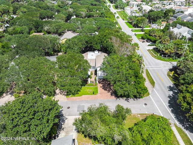 bird's eye view