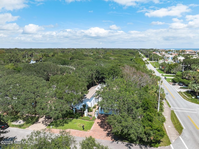 305 Garden Ln, Atlantic Beach, FL 32233 - drone / aerial view featuring a wooded view