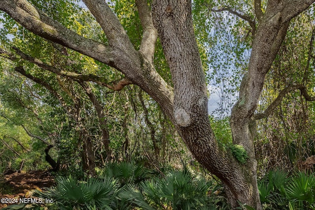305 Garden Ln, Atlantic Beach, FL 32233 - view of nature