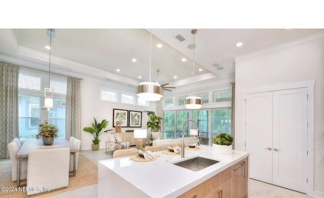 kitchen featuring light brown cabinetry, sink, a tray ceiling, and a center island with sink