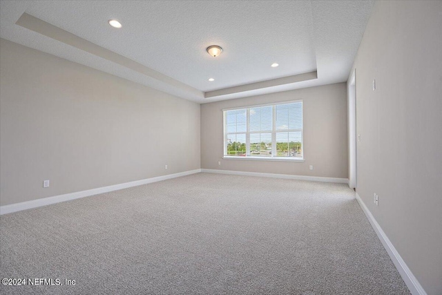 spare room featuring a raised ceiling, light carpet, and a textured ceiling