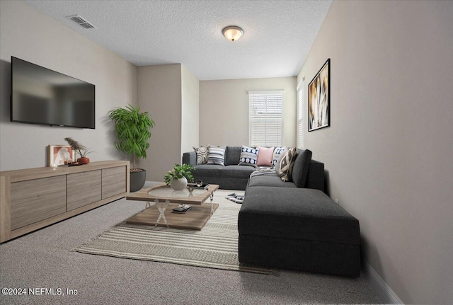 living room with a textured ceiling and carpet flooring