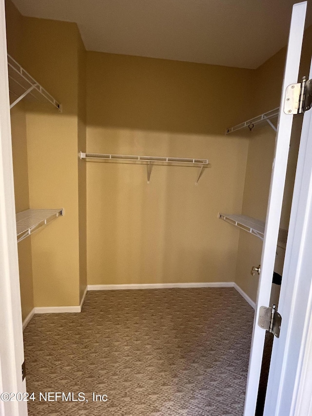 walk in closet featuring carpet flooring