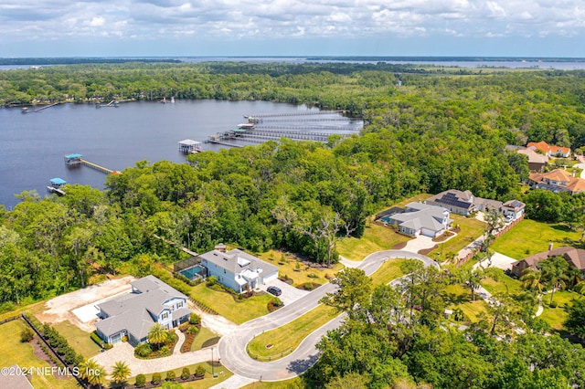 drone / aerial view with a water view