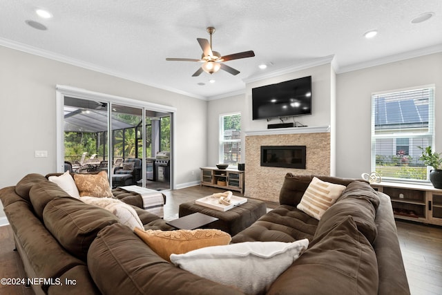 living room with hardwood / wood-style flooring, a premium fireplace, a healthy amount of sunlight, and a textured ceiling