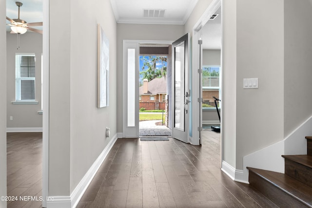 entryway with dark wood-type flooring, ceiling fan, and ornamental molding