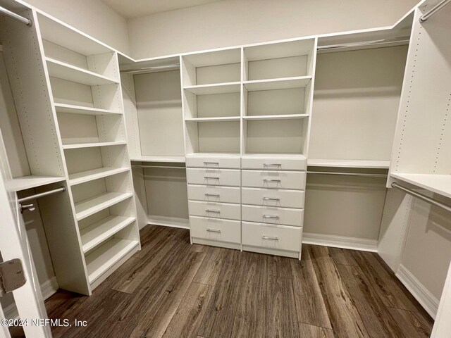 spacious closet with dark hardwood / wood-style floors