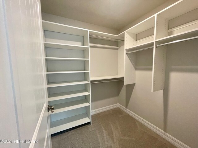 spacious closet featuring carpet floors