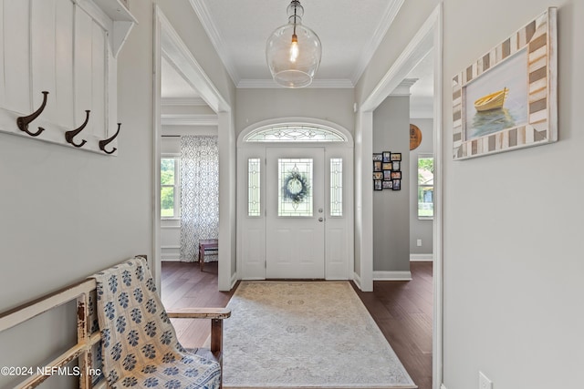 entrance foyer featuring ornamental molding, dark wood-style flooring, and baseboards