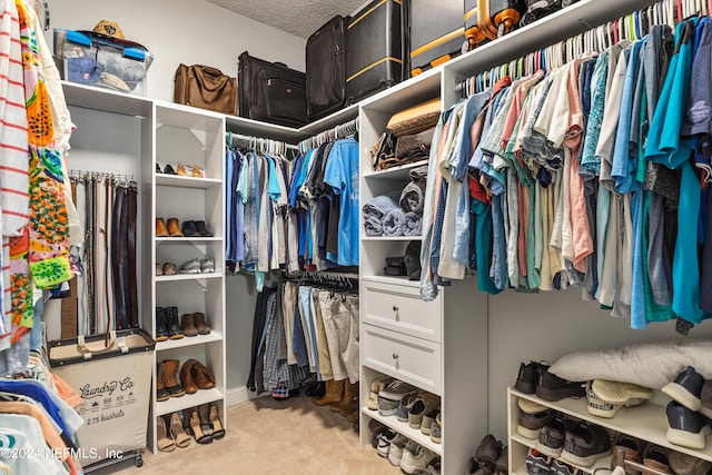 spacious closet with carpet