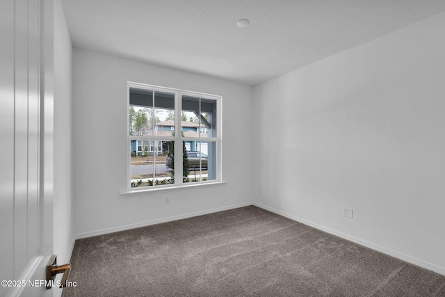 unfurnished room featuring baseboards, carpet, and a textured ceiling