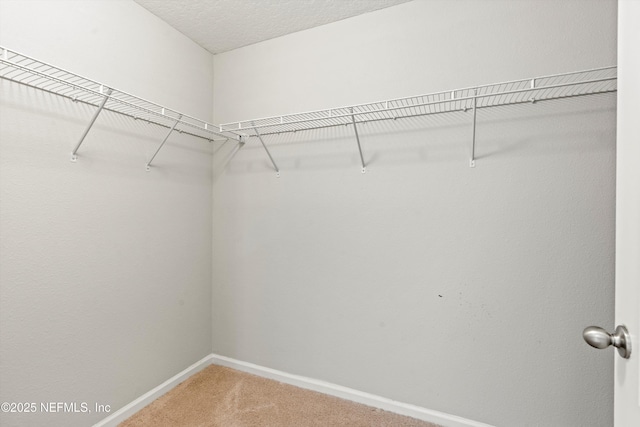 spacious closet with carpet floors