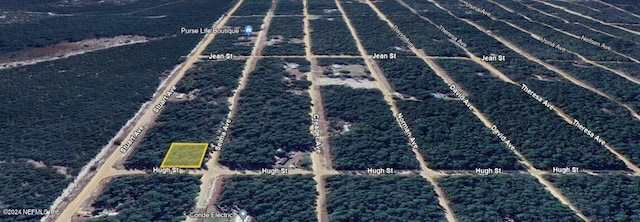 Listing photo 3 for LOT1 Selma Ave, Interlachen FL 32148