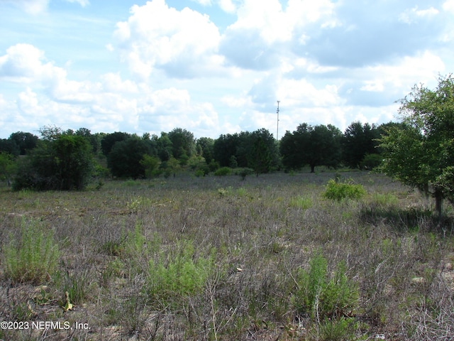 Listing photo 3 for TBD Chesser Monroe Rd, Hawthorne FL 32640