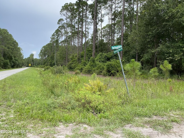 LOTS10-12 Georgetown Denver Rd, Georgetown FL, 32139 land for sale