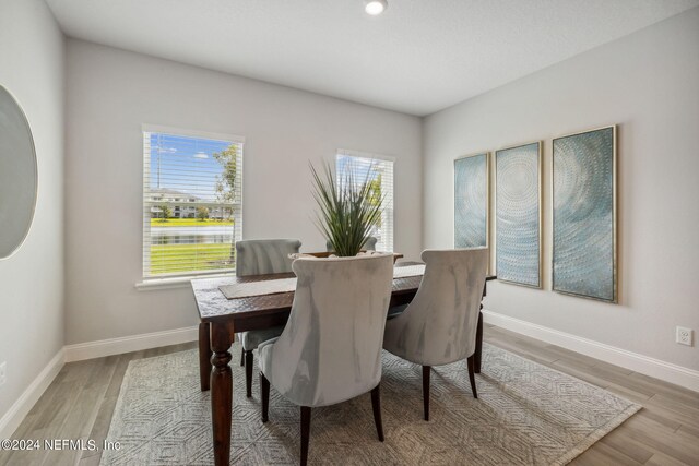 dining space with a healthy amount of sunlight and light hardwood / wood-style floors