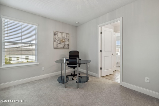 home office with light colored carpet