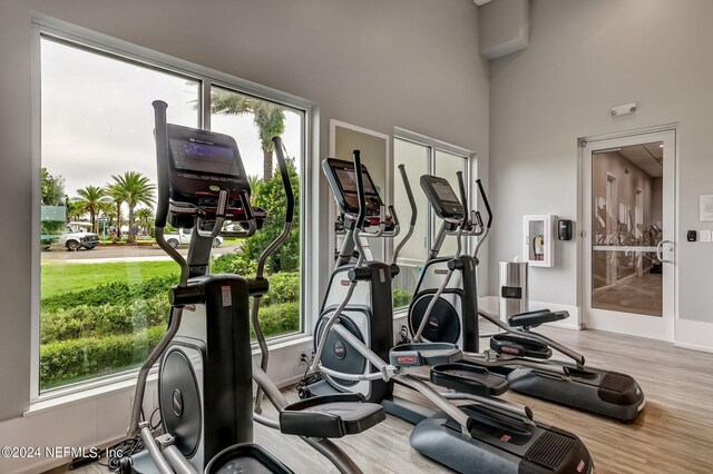 exercise area with a high ceiling, plenty of natural light, and hardwood / wood-style floors