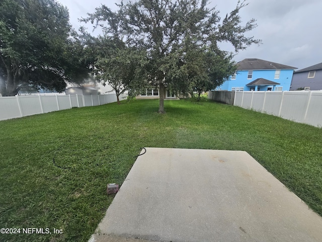 2727 Wood Stork Trl, Orange Park, FL 32073 - view of yard with a patio and a fenced backyard
