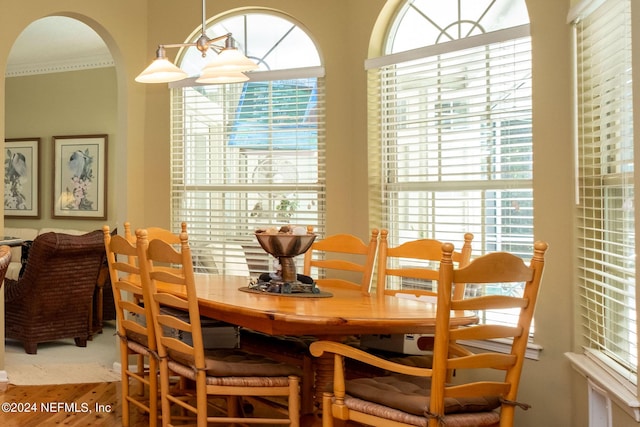 dining space featuring crown molding