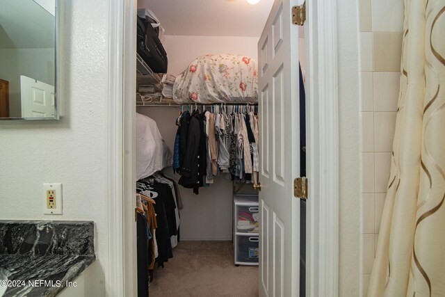 spacious closet with carpet floors