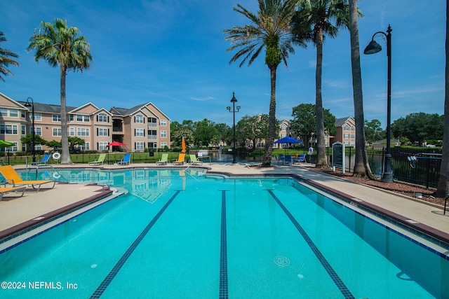 view of pool with a patio area