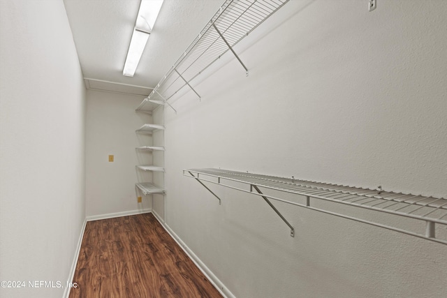 spacious closet with dark hardwood / wood-style floors