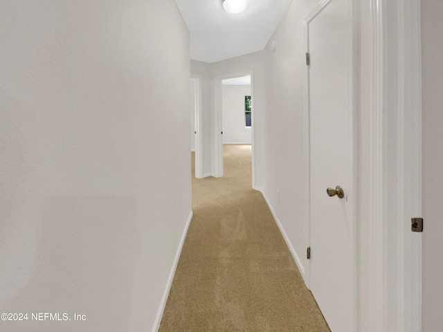 hallway with light carpet