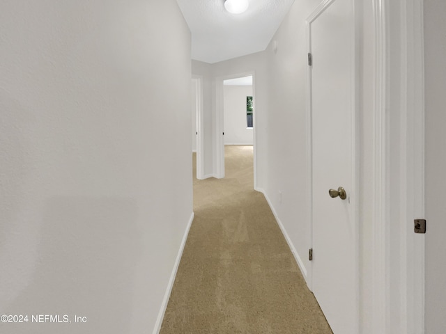 corridor featuring light colored carpet