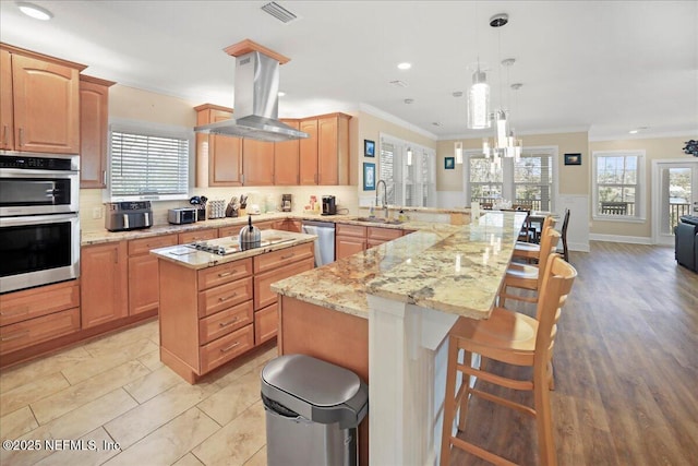 49 SW 279th Ave, Steinhatchee, FL 32359 - kitchen featuring tasteful backsplash, island range hood, stainless steel appliances, a sink, and visible vents