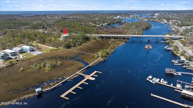 49 SW 279th Ave, Steinhatchee, FL 32359 - birds eye view of property featuring a water view